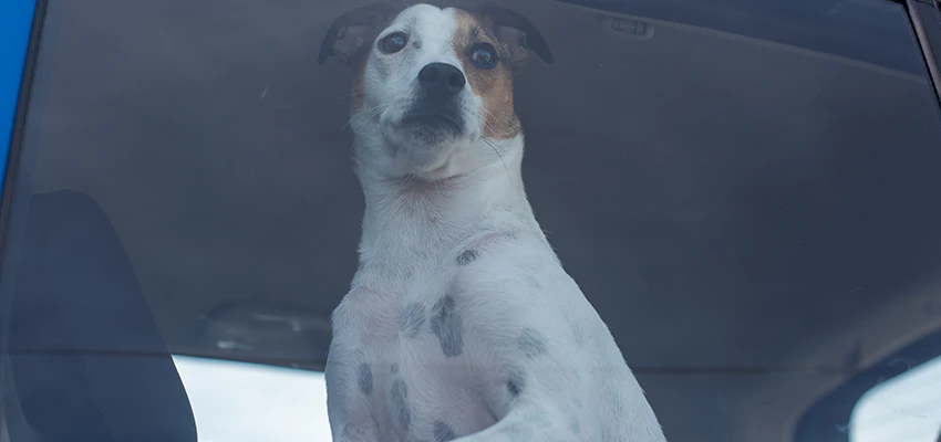 Car Lockout Solutions in Discovery Bay, California